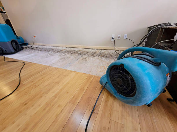 Professional Ceiling Water Damage Repair technician working in Easton, WA